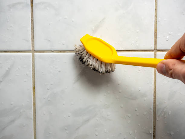 Best Certified Mold Removal  in Montoursville, PA